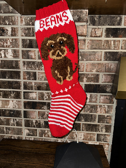 Dog stocking