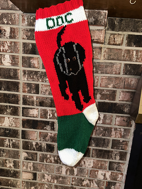 Dog stocking