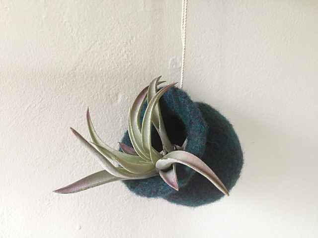 Air Plant Hanger