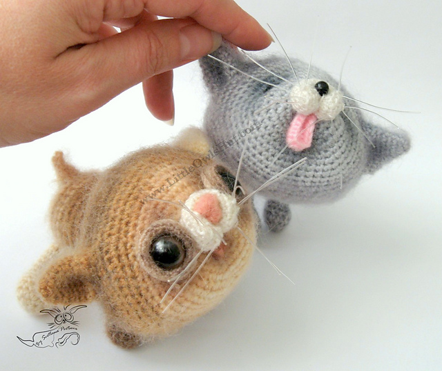 020 Kittens