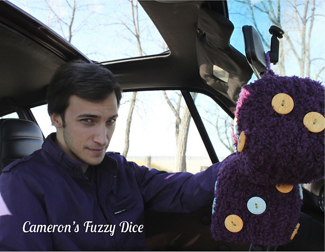 Cameron's Fuzzy Dice