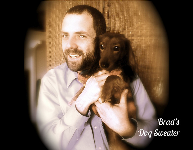 Brad's Dog Sweater