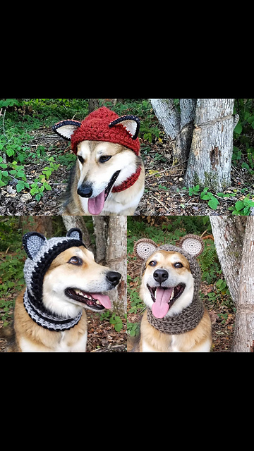 Hound Hoodie Fox - Raccoon - Bear Ears