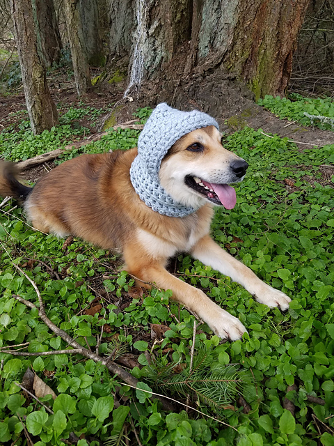 Hound Hoodie