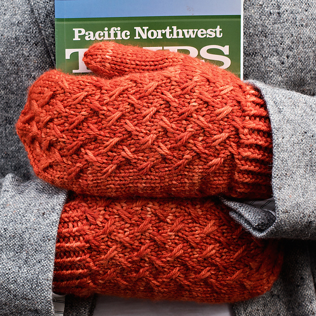 Sightseer's Mittens