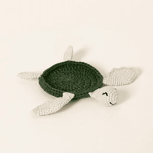 Turtle Coaster
