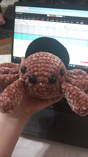 No sew spider