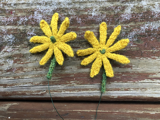 Lesser Celandine