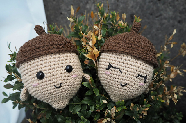 Acorn Buddy