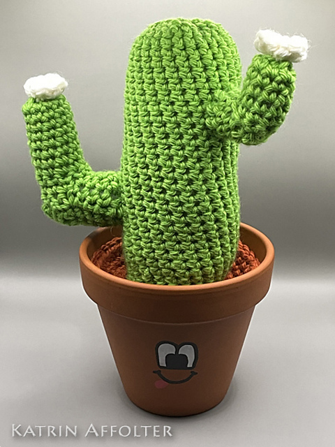 Saguaro Kaktus / Cactus