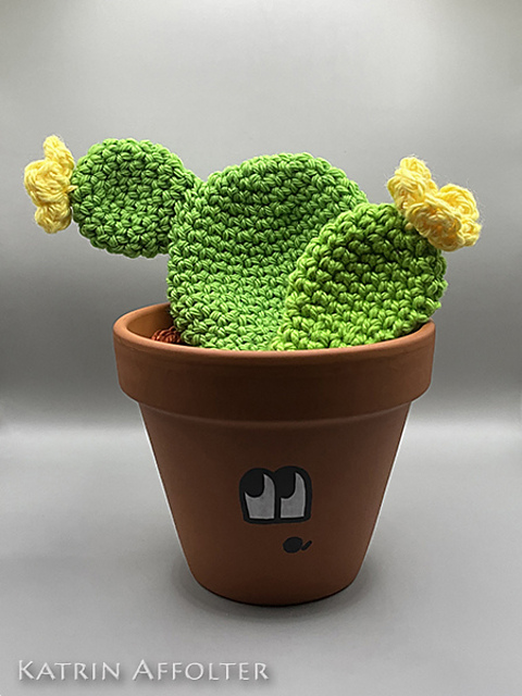Feigenkaktus / Prickly Pear Cactus