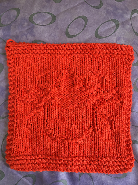 Teeny Tick Dishcloth