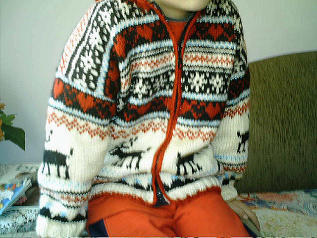 Scandinavian jacket