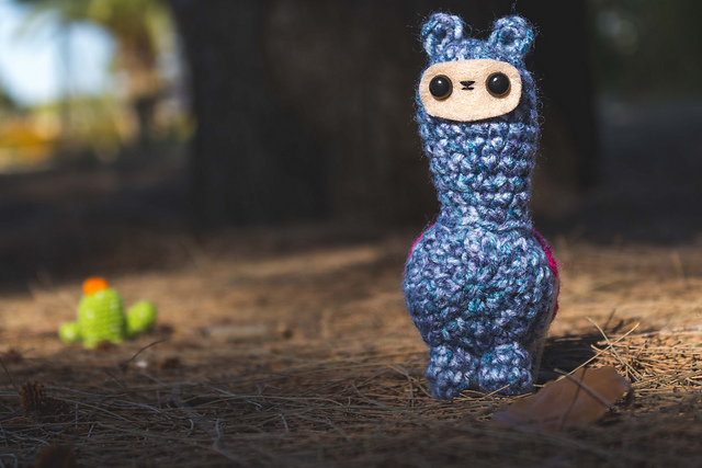 The kawaii Llama