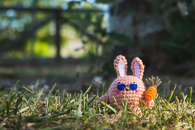 Cool Bunny