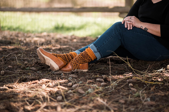 Pumpkin Spice Socks