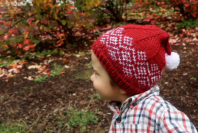 Alv Baby Beanie
