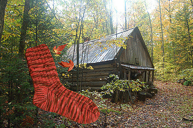 Maple Sugar Socks