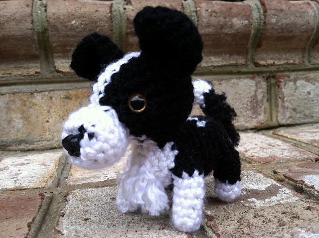 Border Collie