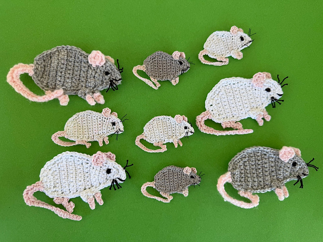 Rat