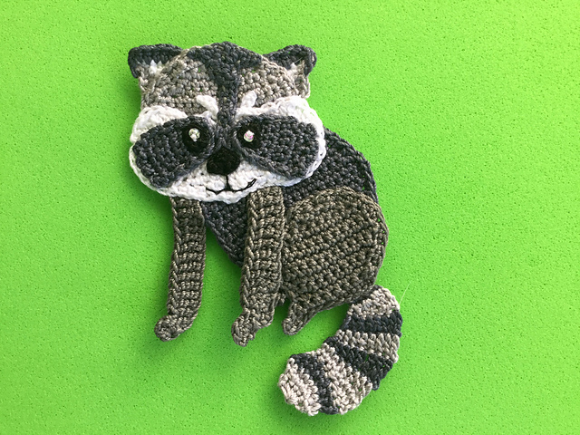 Raccoon