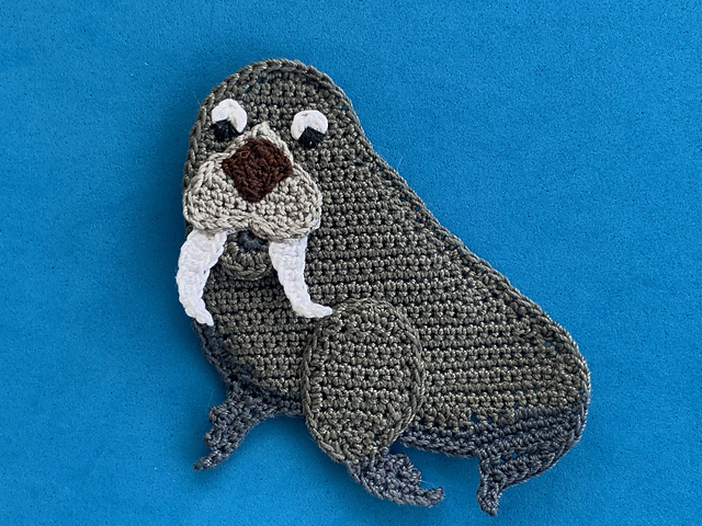 Walrus