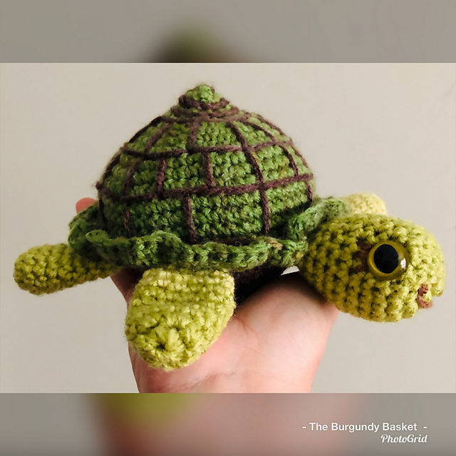 Baby T the Turtle