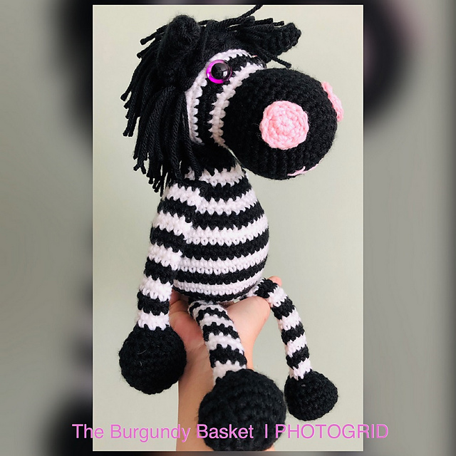 Baby Z the Zebra