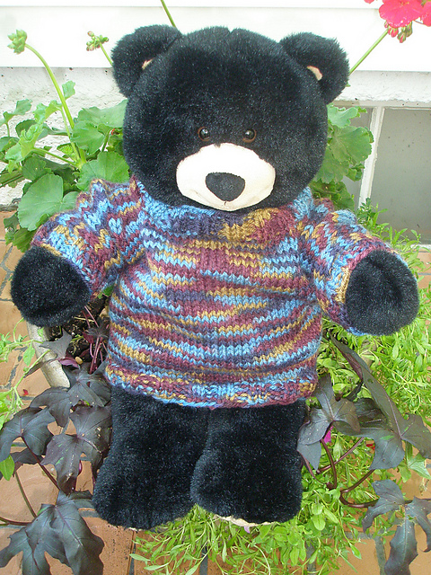 Brother Bear Sweater