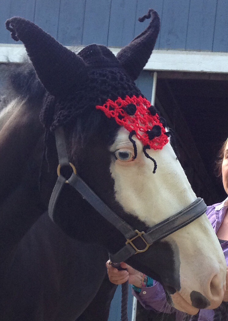 Lady Bug Horse Bonnet
