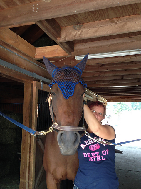 Kismet's Horse Bonnet