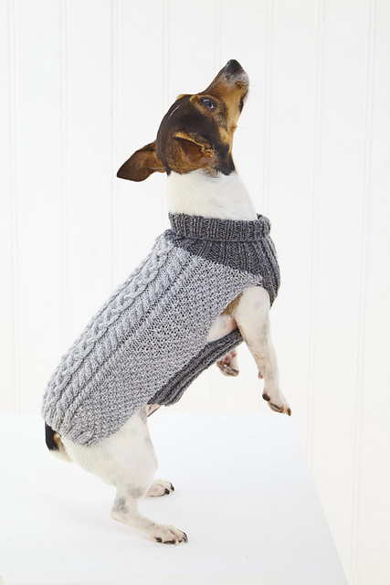 6467 Dog Coats