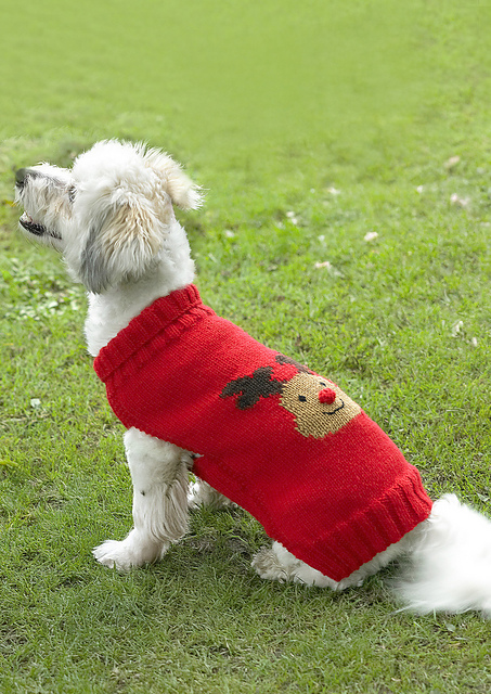 4115 Christmas Dog Coats