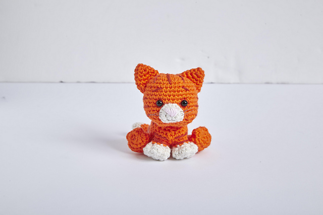 IBB1 Calvin the Cat
