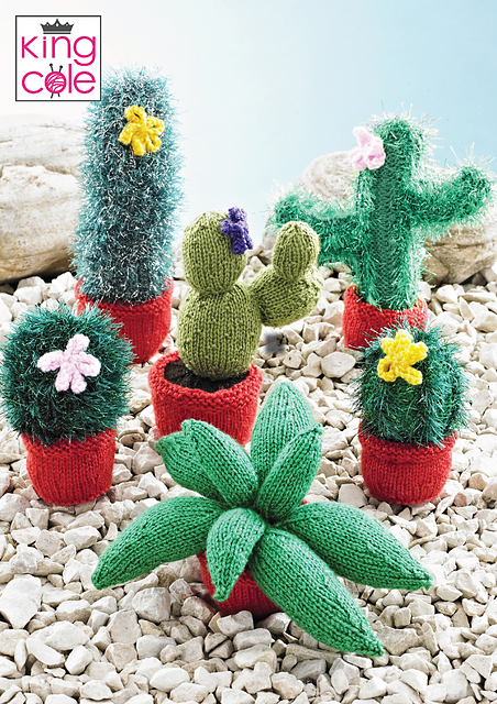 9136 Cacti