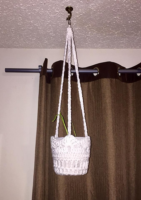 Hanging plant holder