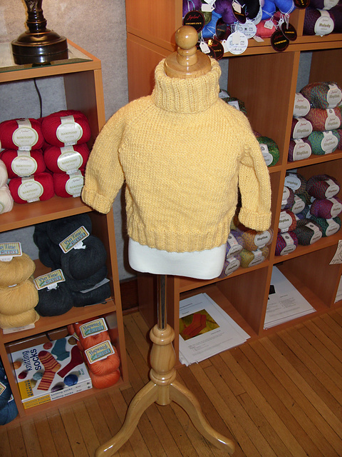 Raglan Turtleneck