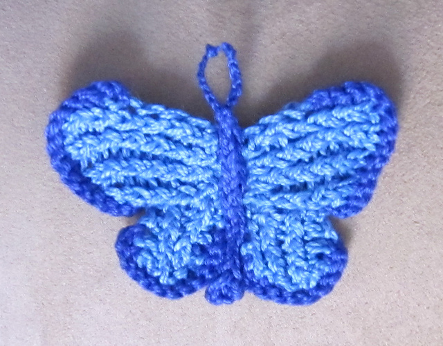 Common Blue Butterfly