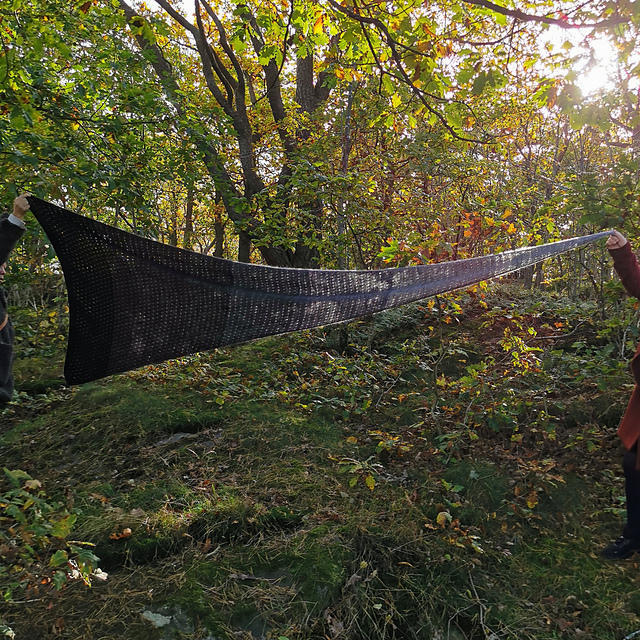 Of Tarth Shawl
