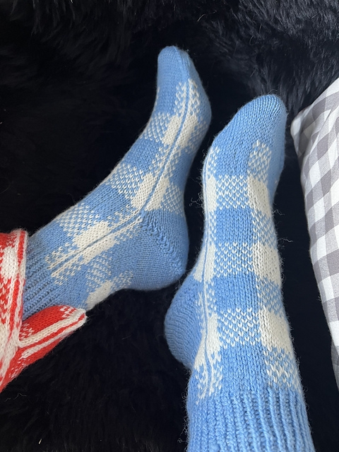 Pikniksokk