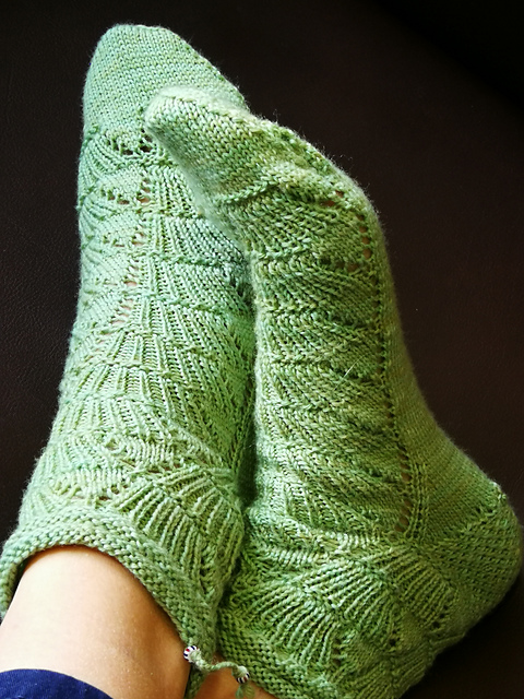 Kuschelmuschel