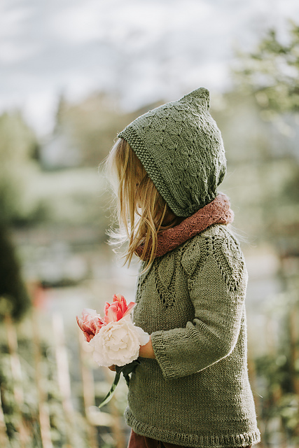 meadowflower hat spring / Wiesenblume