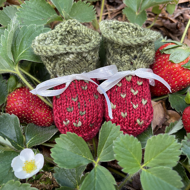 Strawberry Booties