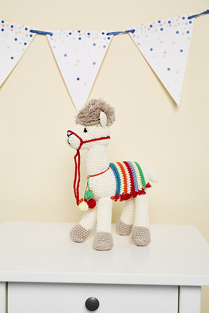 Alfie the Alpaca