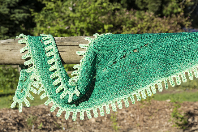 Alligator