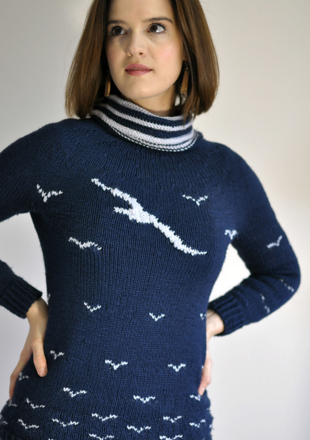 Gulls