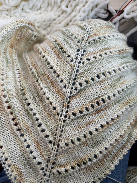 JH shawl