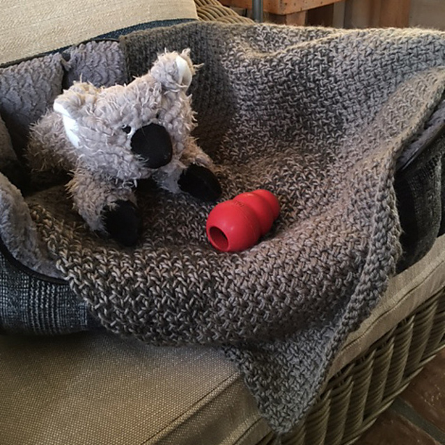 puppySTUFF