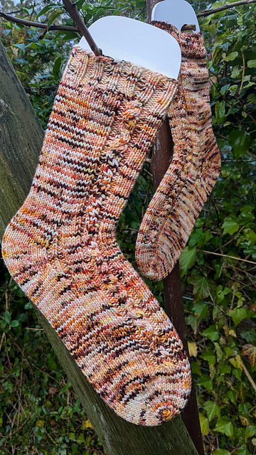 Spicy Dyepot Socks