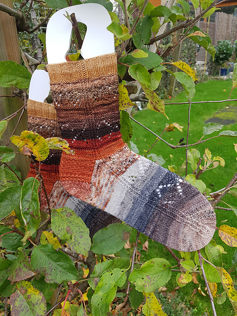 Season of Serenity Advent Socks